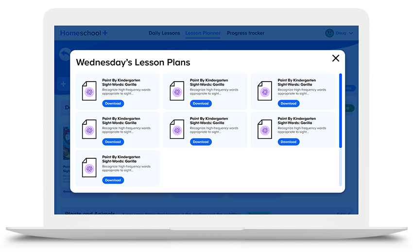 Example Lesson plan screen