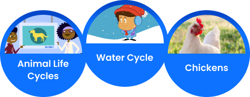 Three circles showing animal life cycles, water cycle, and chickens. 